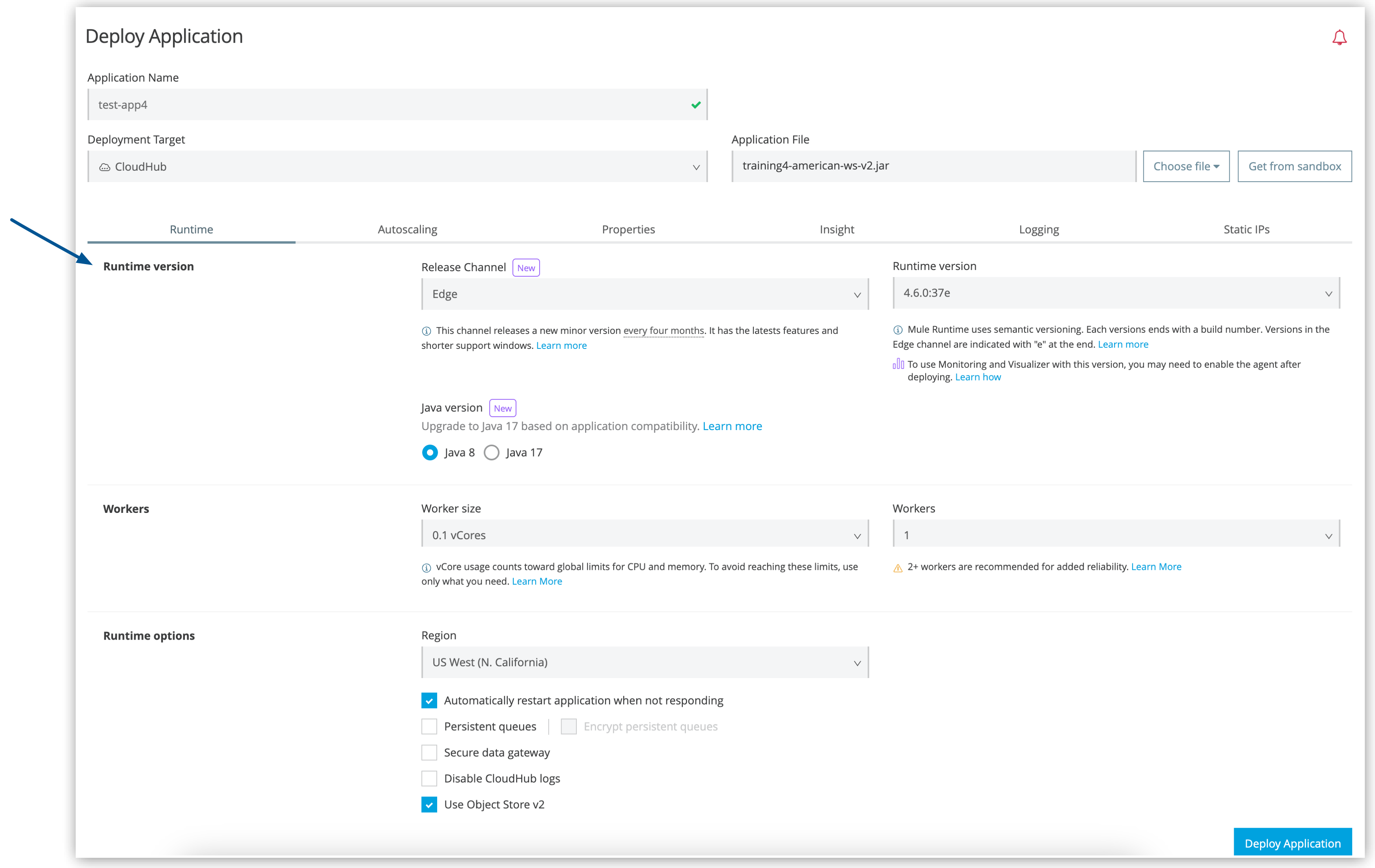 「Deploy Application (アプリケーションのデプロイ)」 ページの設定タブ